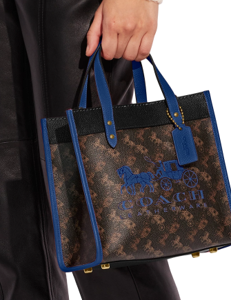 Coach Horse and Carriage Field Tote 22